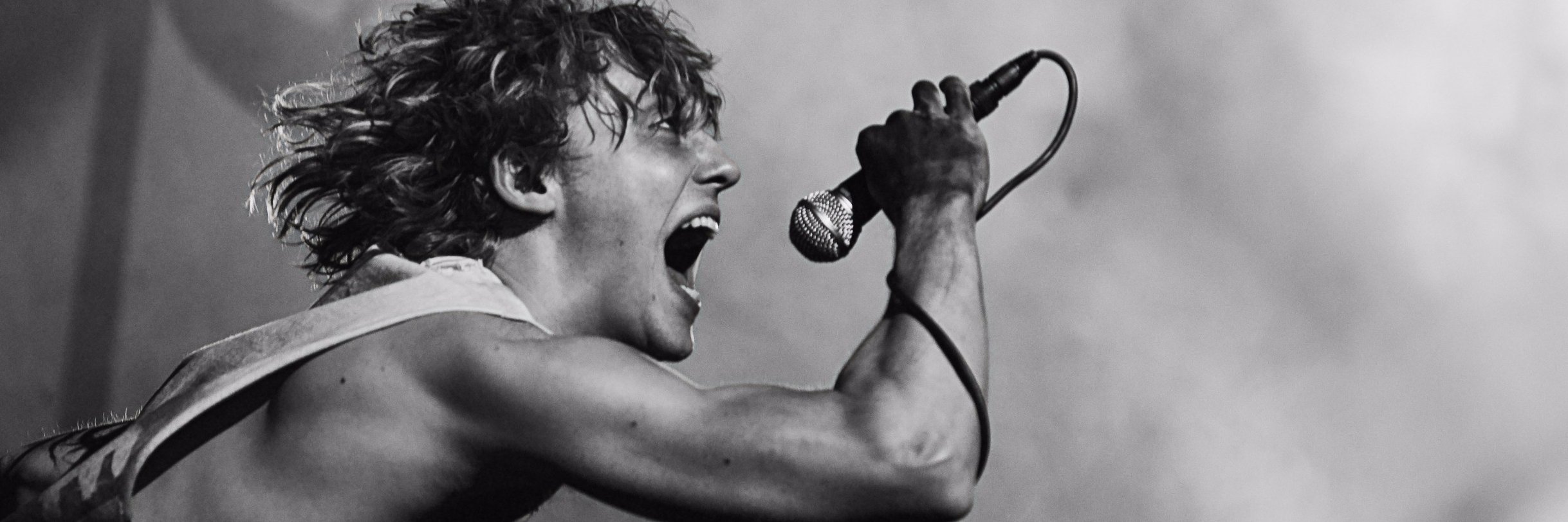 Meat Loaf Fans banner