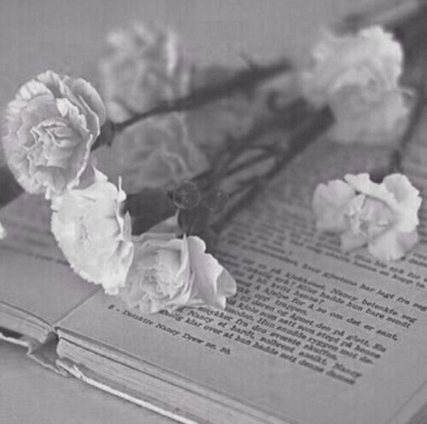 ♚نواف♚ banner