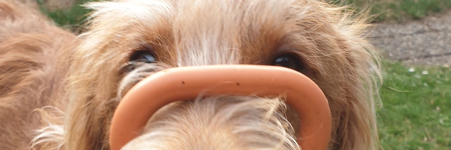 CwWhetton's profile banner image