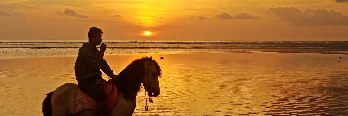 TVLombok's profile banner image