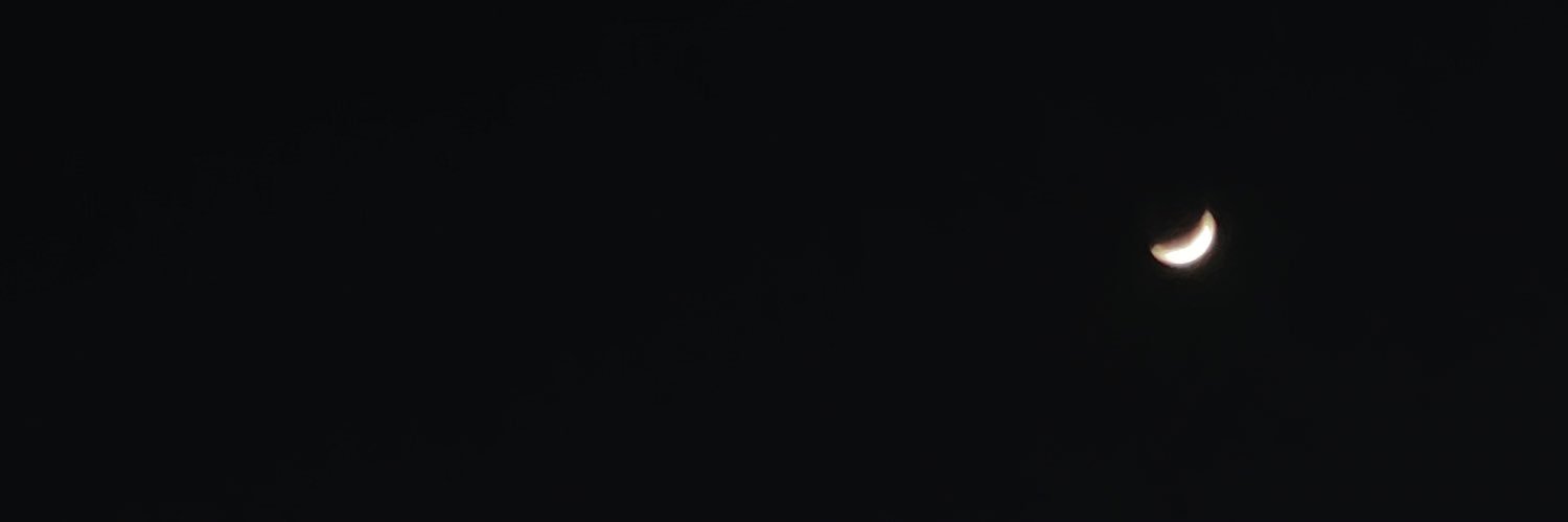 dabarela's profile banner image