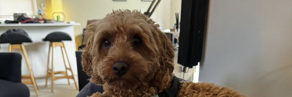 gmorg22 Profile Banner