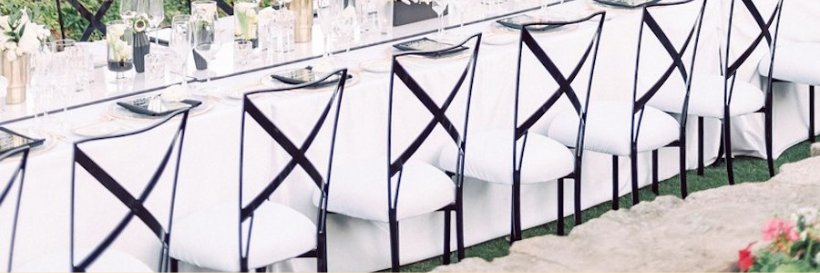 Chameleon Chair banner