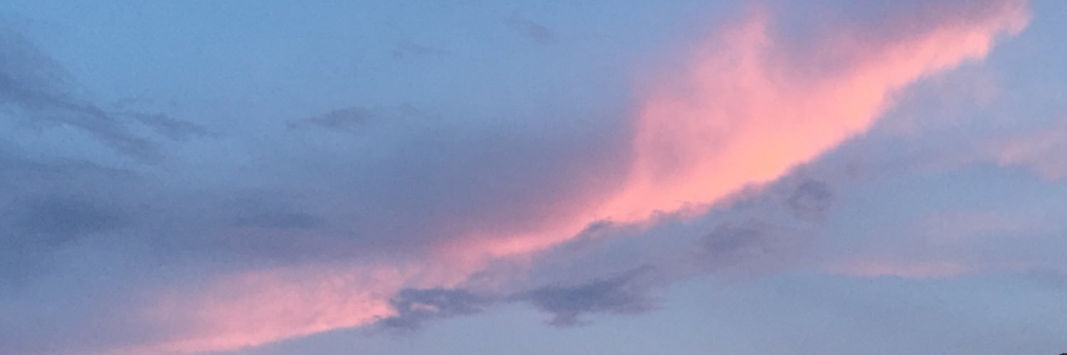 MrsNobcdy's profile banner image