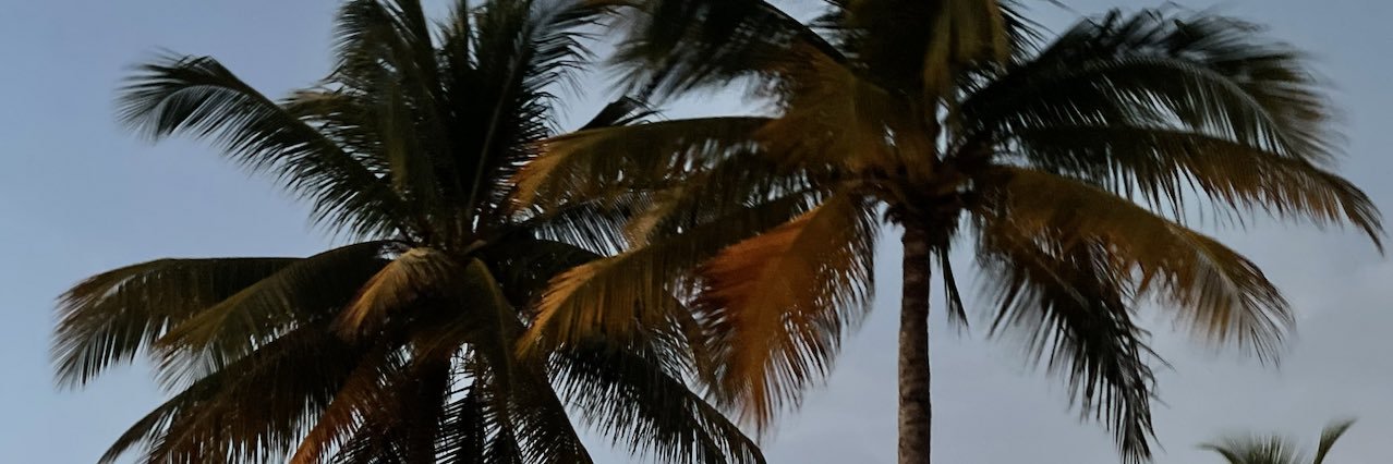 YeahDatzNay's profile banner image