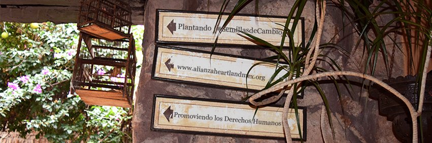 MexicoAh's profile banner image
