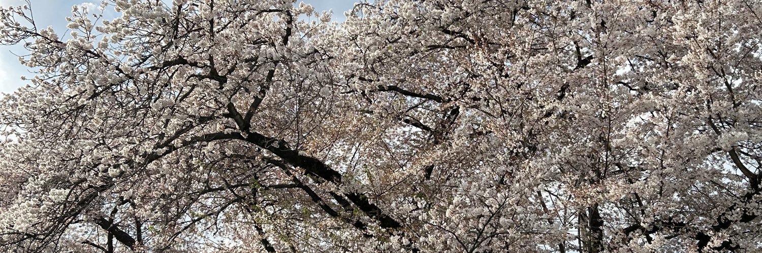 kemari4486's profile banner image