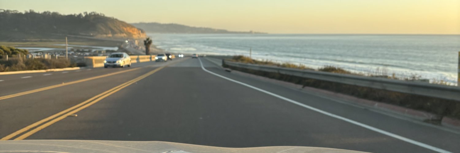 maritzaarico's profile banner image