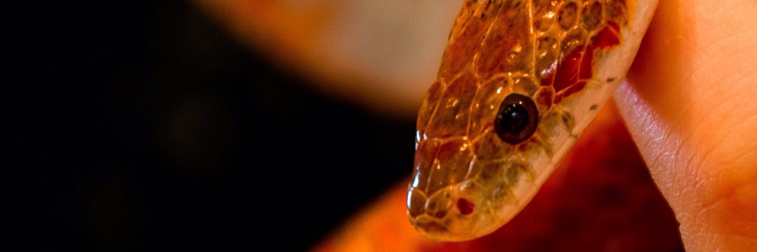 bethid's profile banner image