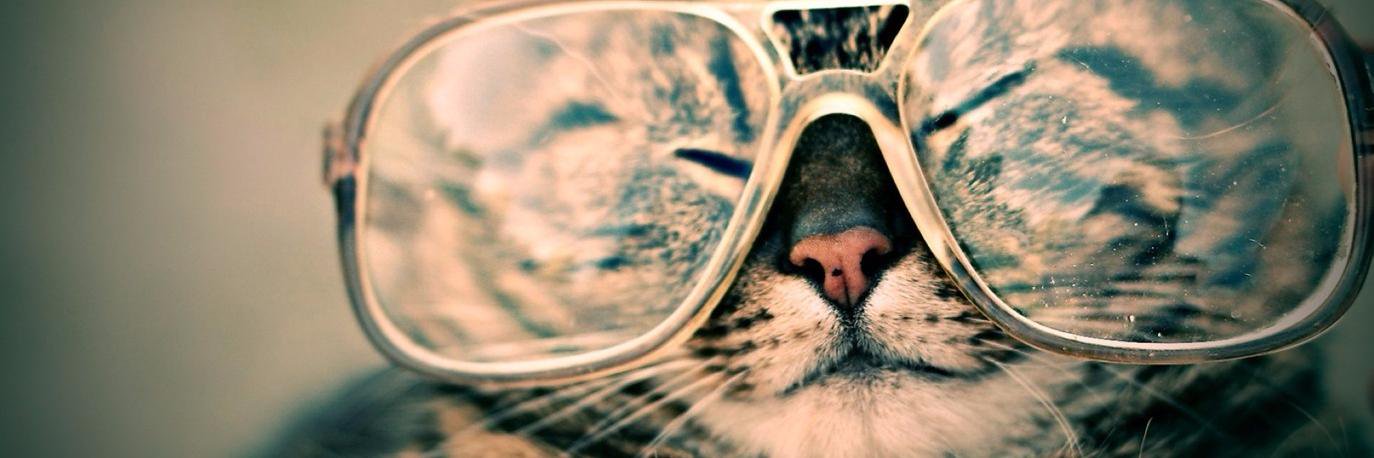CatMadShirts's profile banner image