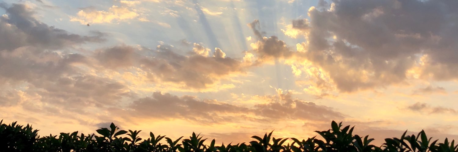 samomand's profile banner image