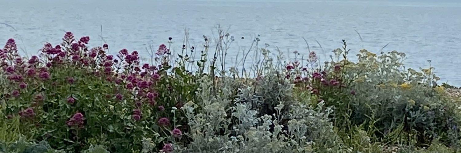 Ms Rebecca 🇵🇸🇱🇧 banner