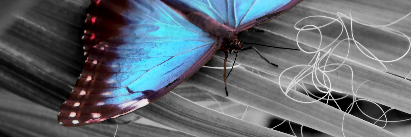 stylethefuture's profile banner image