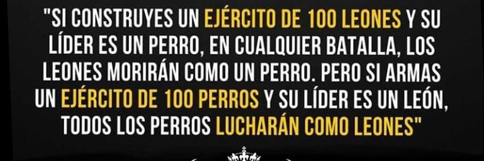 Diego Barón banner