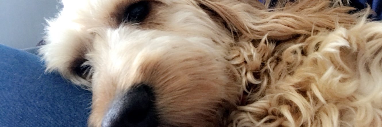 abbbystoner's profile banner image