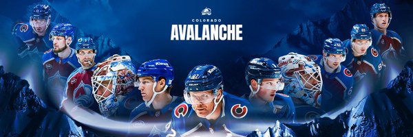 Avalanche Profile Banner