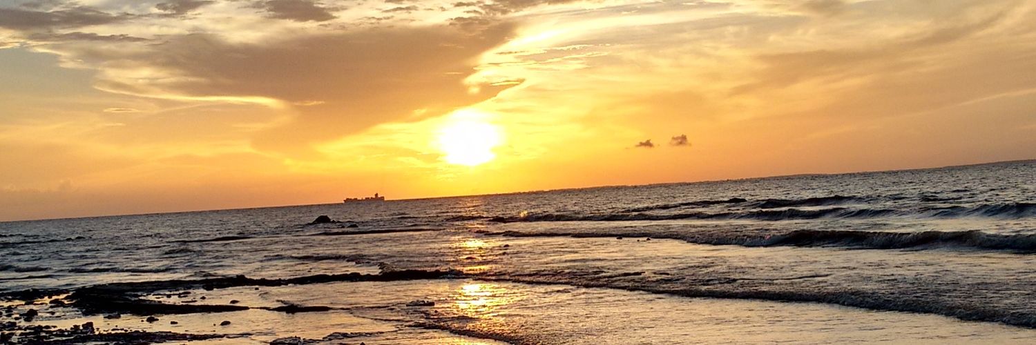 EvelizeWesche's profile banner image