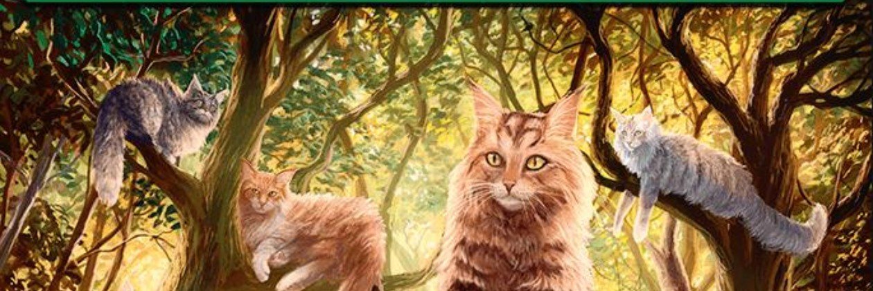 siz_7's profile banner image