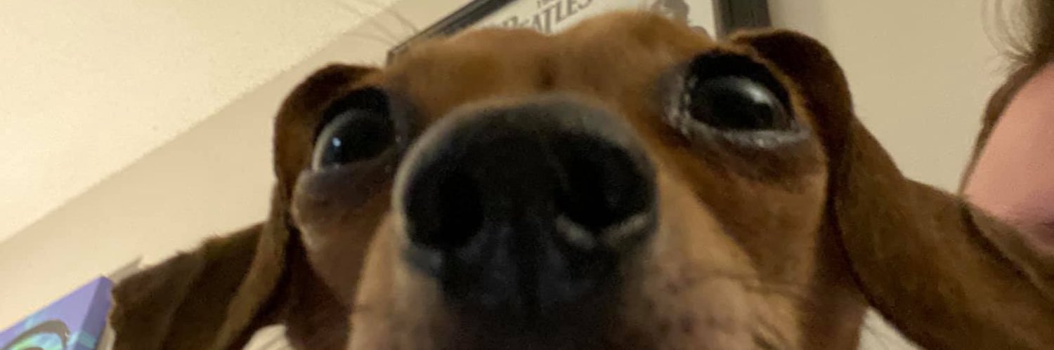 maxcasag's profile banner image