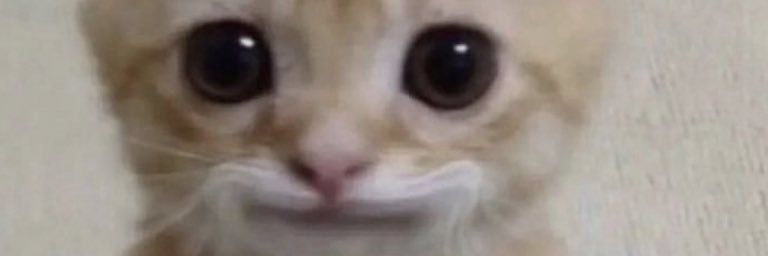 Edrail__'s profile banner image