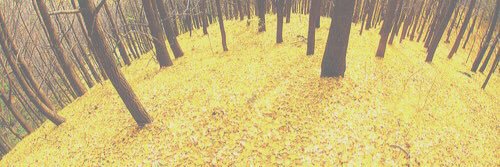BethBonfa's profile banner image