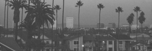 HelloImPiper's profile banner image