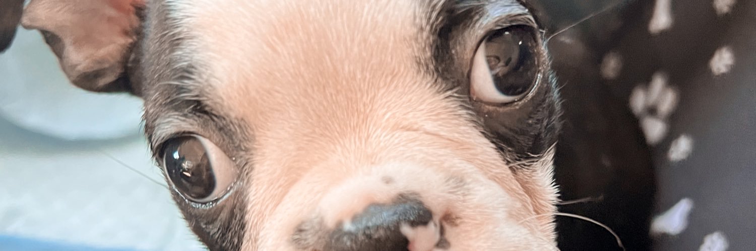 cangssss's profile banner image