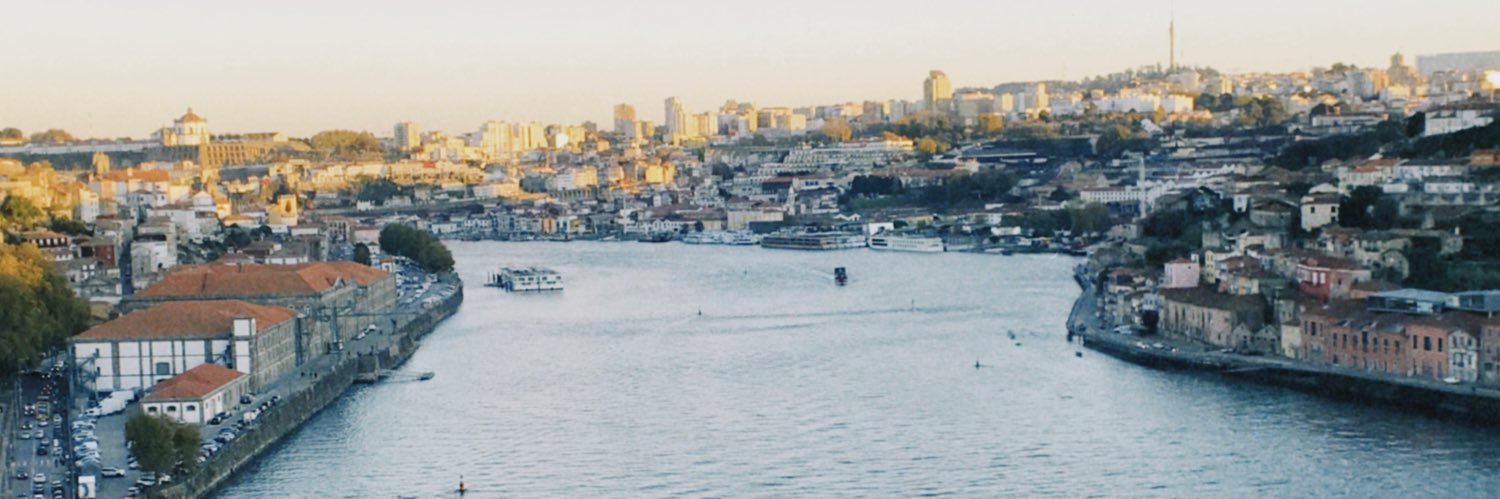 inesiilva07's profile banner image
