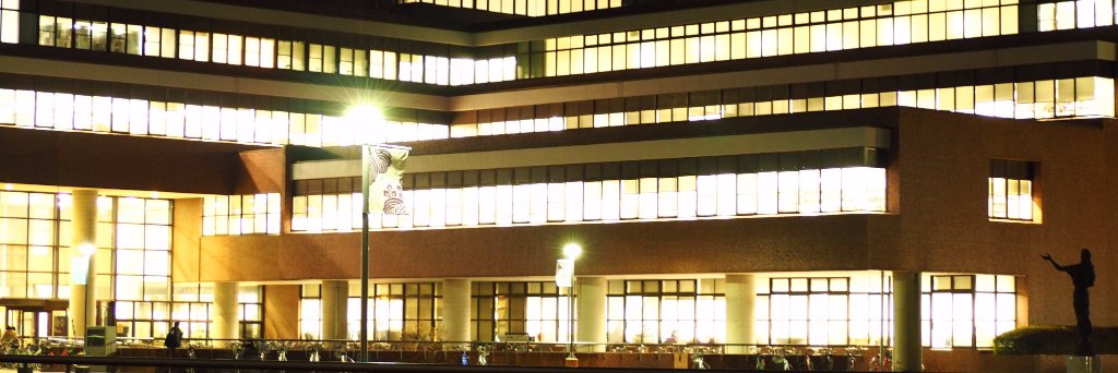 筑波大学附属図書館's banner