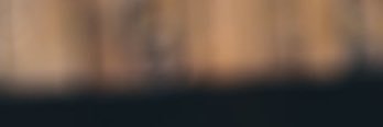 أبو عُثَيم banner