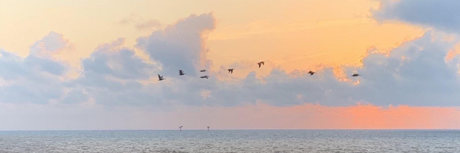lesliesuzeth's profile banner image