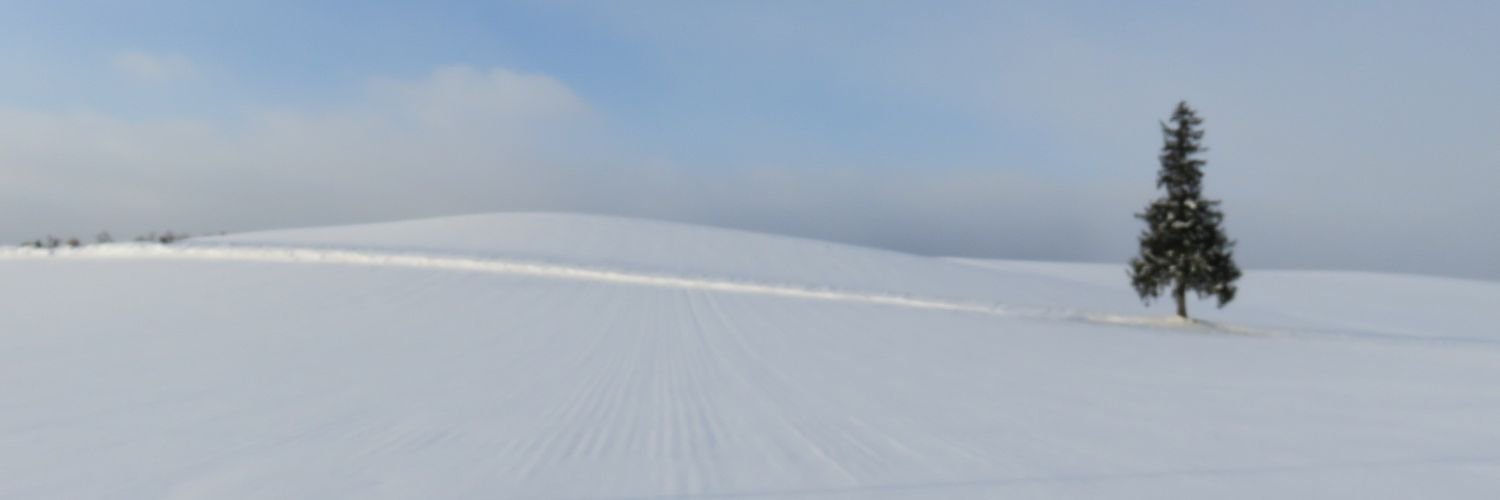 yu_yu730's profile banner image