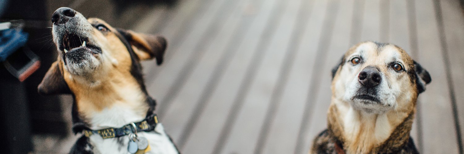 TheMadadh's profile banner image