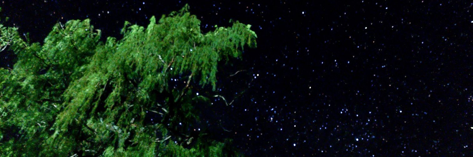 maay_654's profile banner image