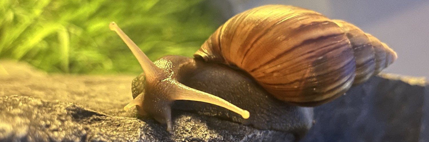 slabkrab's profile banner image
