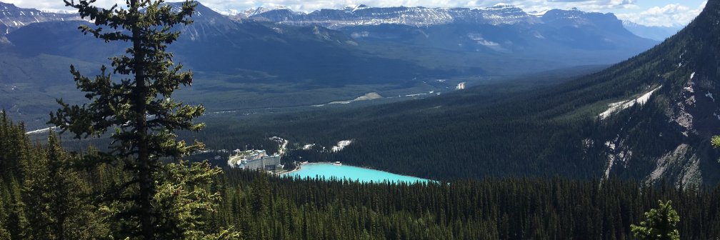 TrevorDoiron's profile banner image