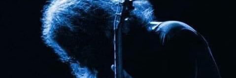 josh banner