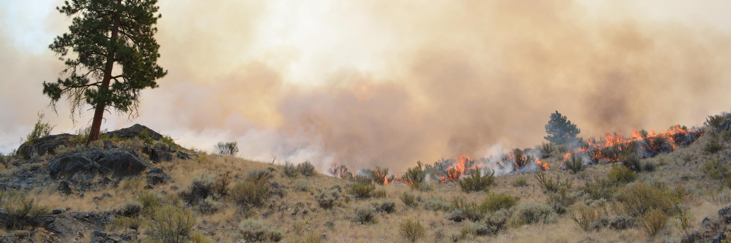 Carlton Complex banner
