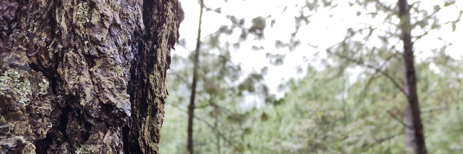 Feikson's profile banner image