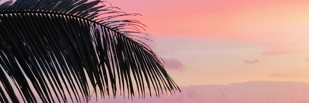 arimmmmm's profile banner image