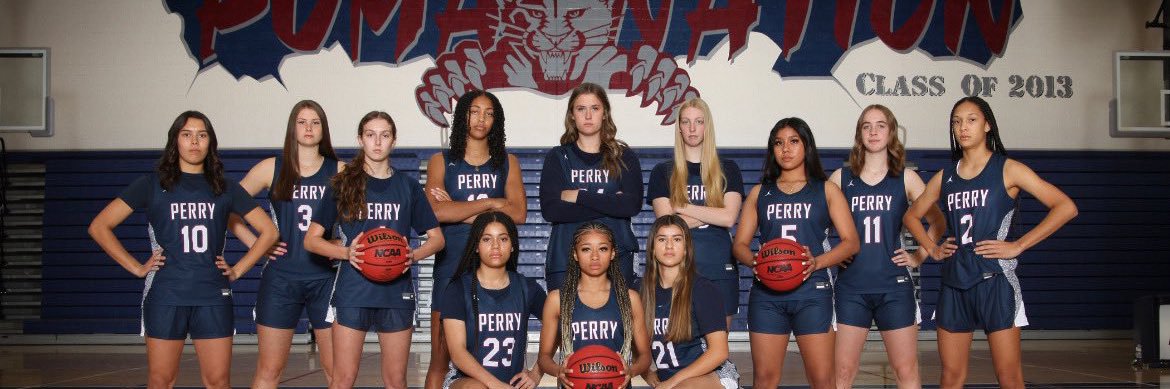 Perry High WBB banner