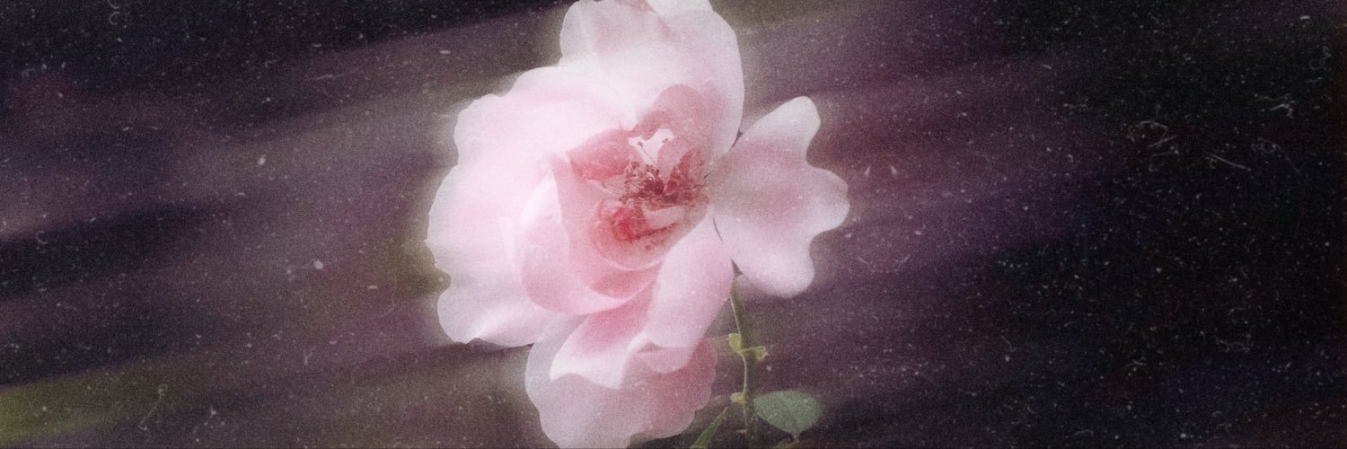 derd_ali's profile banner image