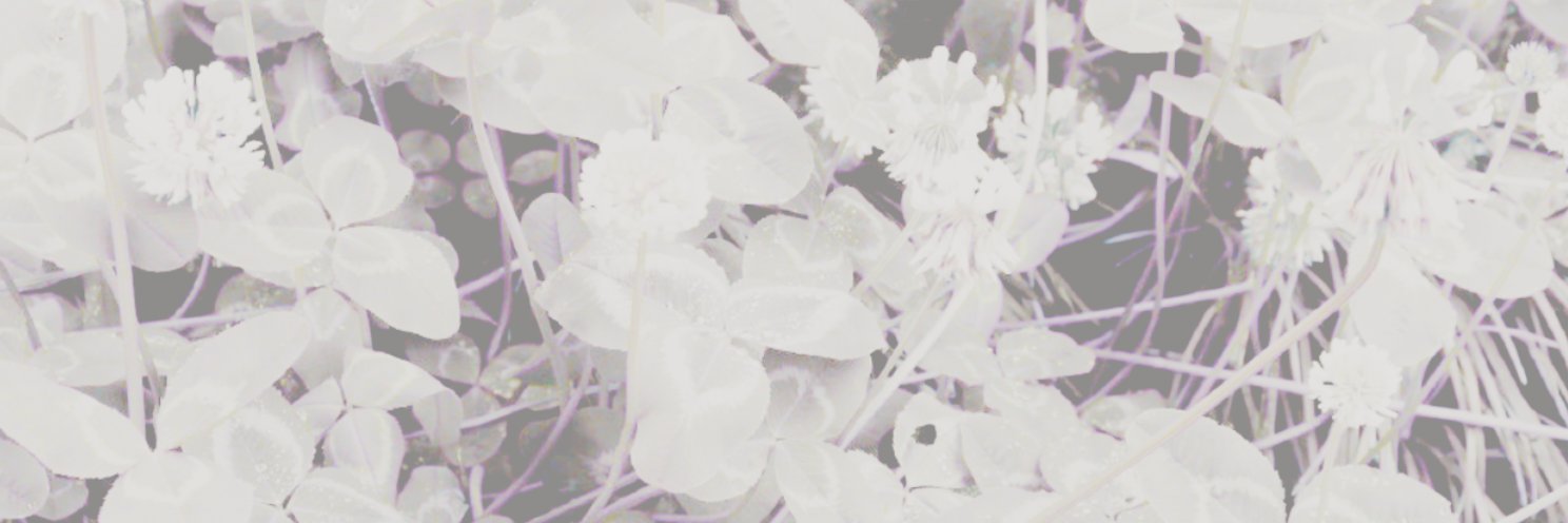 naux's banner
