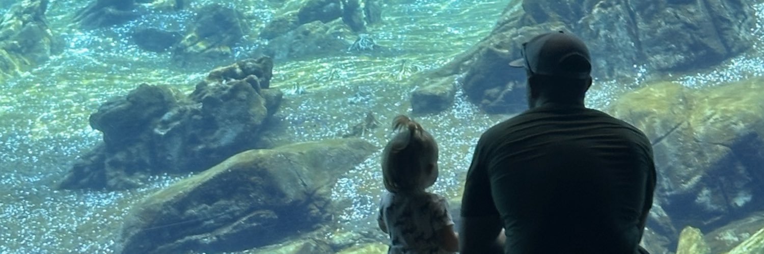theMARKshockley's profile banner image