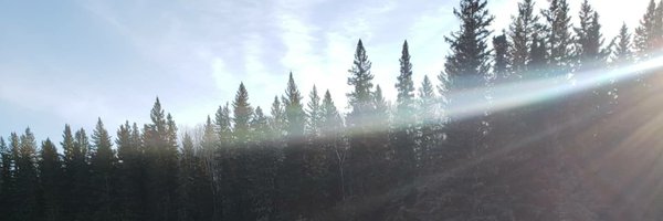 evakatrina Profile Banner