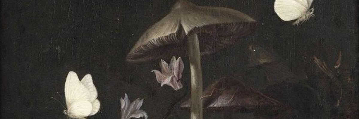 gaspcece's profile banner image