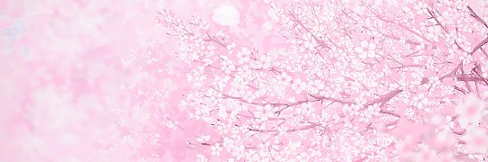 Melodux's profile banner image