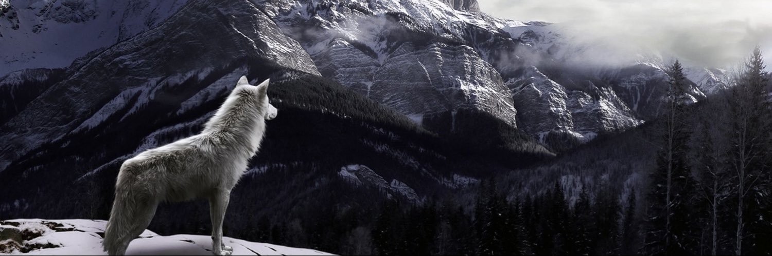 OkamiPrincess's profile banner image