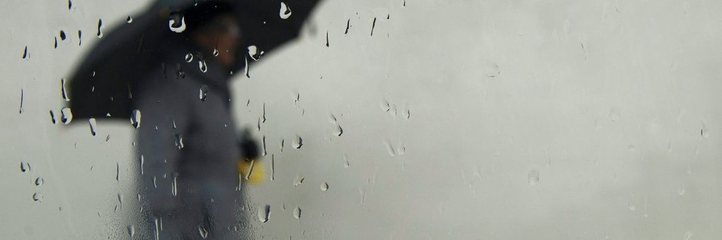 Todd Rokholm banner