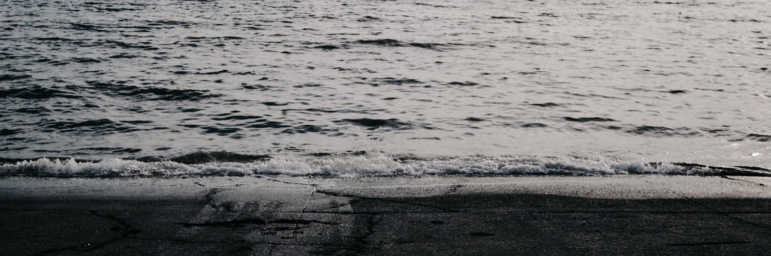 หมาป่า . banner